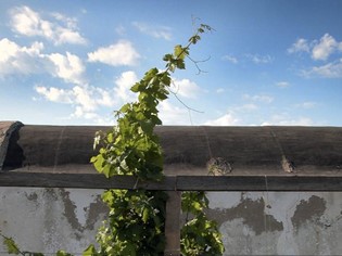 Altura Isola del Giglio