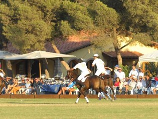 Argentario Polo Club SRL Monte Argentario