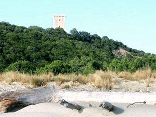Spiaggia di Collelungo