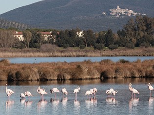 Lago di Burano
