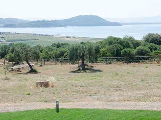 Ansonica Costa dell’Argentario DOC