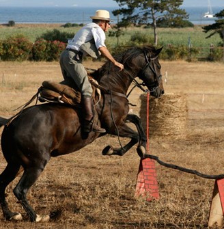 Cowboy for a day. Live in the saddle among the butteri and turn into a herdsman