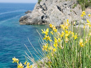 Toscana senza lacrime