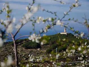 Festungsanlagen und Türme Meer Toskana