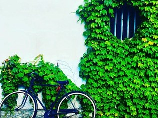 Capalbio und sein historisches Zentrum