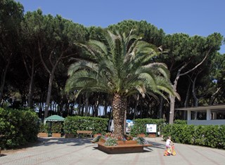 Village Camping Voltoncino