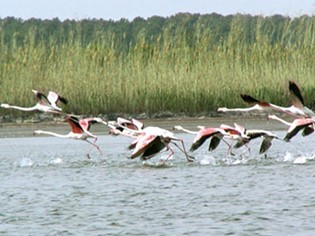 Laguna Orbetello di Ponente Naturschutzgebiet
