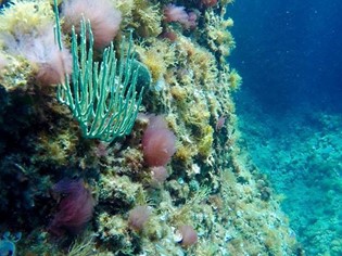 Routen in der Maremma Tauchen