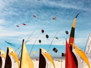 Scuola di WindSurf, Kite, Surf, Sup