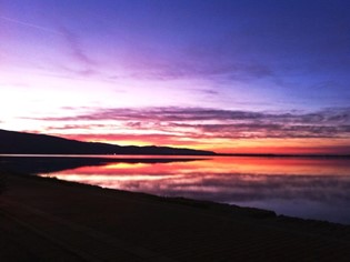 Animaux autorisés Mer Toscane
