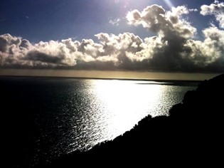 Animaux autorisés Mer Toscane