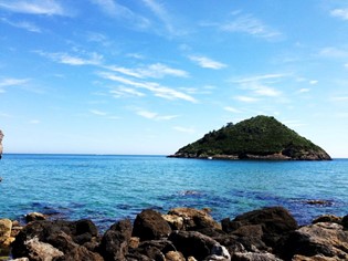Animaux autorisés Mer Toscane